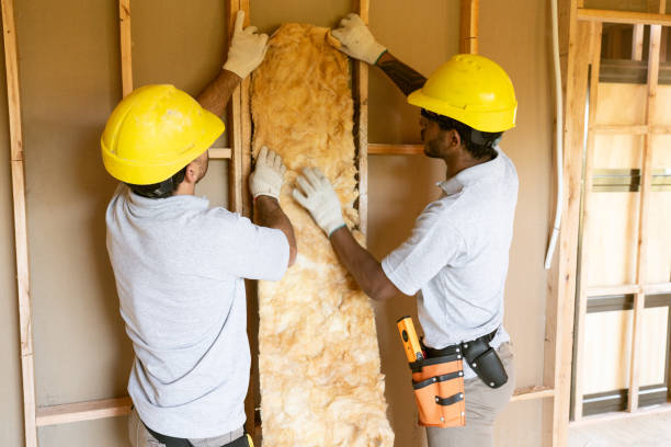 Types of Insulation We Offer in River Ridge, LA